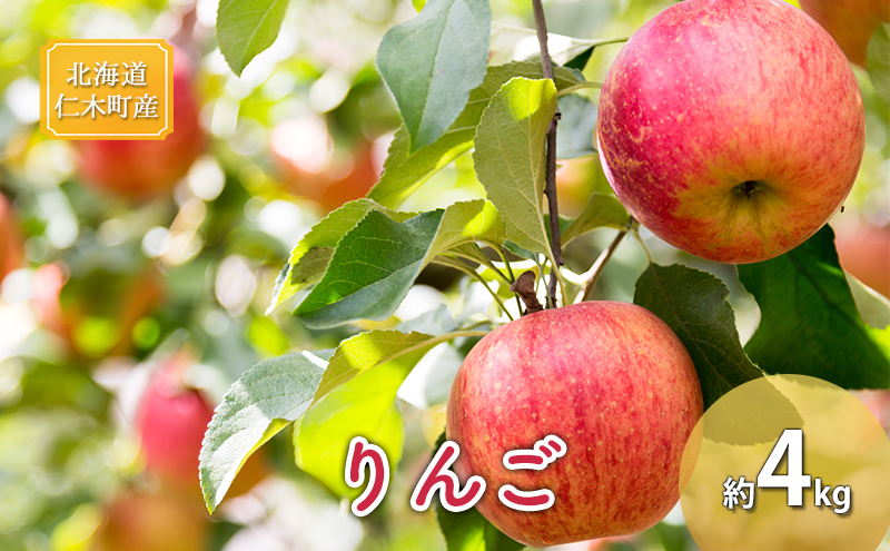 [先行受付] 北海道 仁木町産 りんご 約4kg 果物類 林檎 リンゴ ふじ 果物 くだもの フルーツ [くだもの直売　もり園]