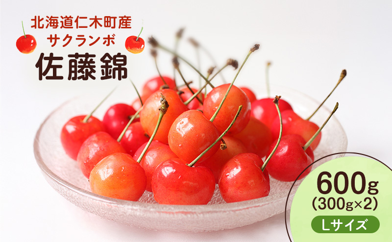 先行受付 北海道 仁木町産 さくらんぼ 佐藤錦 600g （300g×2） L以上　旬の果物 サクランボ チェリー フルーツ 果物 果物類 仁木町 仁木 [UMIX FARM]