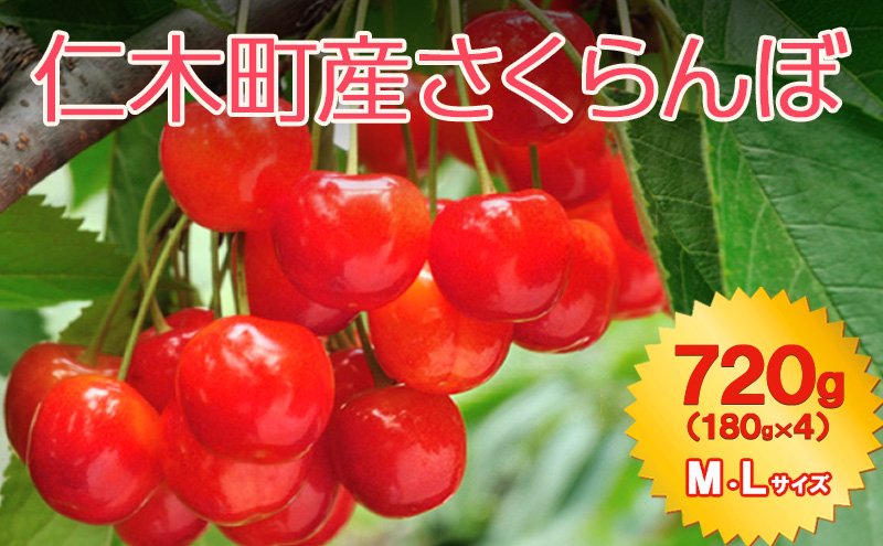 北海道 仁木町産  7月旬 さくらんぼ 720g （180g×4） Ｍ・Ｌサイズ サクランボ チェリー フルーツ 果物 果物類  仁木町 仁木 [JA新おたる]