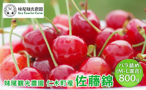 [先行受付] 北海道 仁木町産 さくらんぼ 「佐藤錦」 バラ詰め M-L混合 800g (400g×2パック) 　国産 旬のフルーツ 旬の果物 デザートサクランボ チェリー フルーツ 果物 果物類 仁木町 仁木 [フルーツショップ妹尾観光農園]