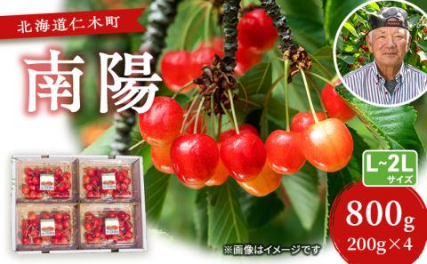 先行受付 さくらんぼ【 南陽 】800g（200g×4）L-LLサイズ混合 サクランボ チェリー フルーツ 果物 果物類 ギフト 北海道 仁木町 仁木 [横山農園]