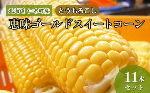 [先行受付] 北海道 仁木町産 とうもろこし 恵味ゴールド スイートコーン 11本 セット 野菜 コーン 甘い [峠のふもと紅果園]