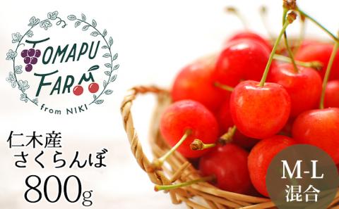 北海道 仁木町産 農業ママのさくらんぼ 800g（200g×4） 佐藤錦 または 南陽  サクランボ チェリー フルーツ 果物 果物類 仁木町 仁木 [トマップファーム]