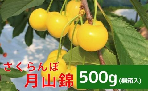 北海道 仁木町産 さくらんぼ【 月山錦 】一段並べ 桐箱入り 500g 2Lサイズ以上　食後 デザート 旬の果物 サクランボ チェリー フルーツ 果物 果物類 ギフト 贈答品 仁木町 仁木 [峠のふもと紅果園]