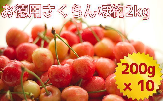 <仁木ファーム>北海道仁木町産ご自宅用さくらんぼ(徳用)約2kg