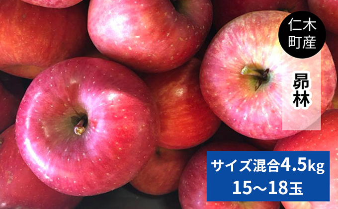 [先行受付/2026年] 仁木町の採れたてりんご「昴林（こうりん）」4.5kg（15～18玉入り）北海道 仁木 果物 フルーツ リンゴ 果物類 林檎 [フルーツショップ妹尾観光農園]