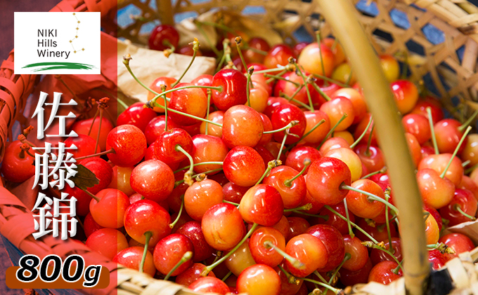 北海道産 佐藤錦 800g (200g×4パック) バラ 秀品 Lサイズ以上　朝採り 当日発送  さくらんぼ サクランボ チェリー フルーツ 果物 果物類 北海道 仁木町 仁木 [株式会社NIKI Hillsファーム]