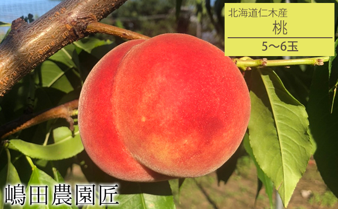 [先行受付] 北海道 仁木町産 「匠」の桃 5～6玉セット 桃 果物 もも モモ フルーツ 白桃 [株式会社 嶋田茂農園匠]