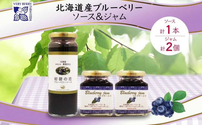 北海道産 ブルーベリーソース 200g 1本 ブルーベリージャム 180g 2個セット ジャム瓶 ブルーベリー 詰め合わせ 果物 自然農園 お取り寄せ ギフト 産地直送 のし 仁木町