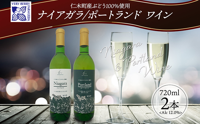 ナイアガラ ポートランド ブドウ ワイン 720ml 2本 飲み比べ セット 葡萄 ぶどう 果実 果実酒 お酒 アルコール 白ワイン 辛口 お取り寄せ ギフト gift ボトル 紙箱 御中元 お中元