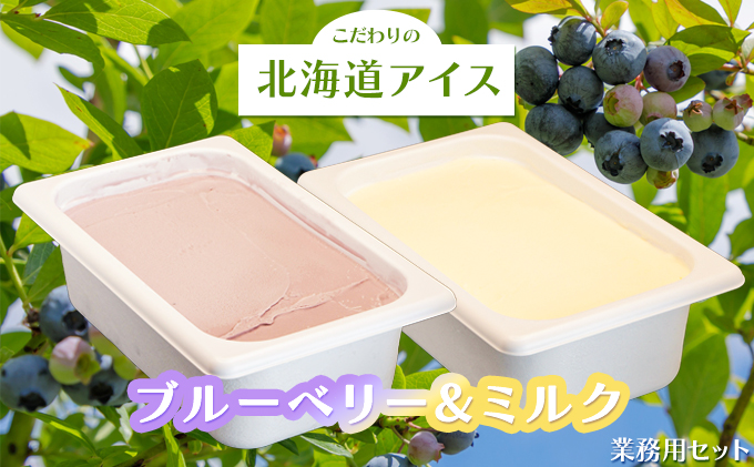 こだわりの北海道アイス 業務用セット〈ブルーベリー＆ミルク〉2L×各1個  スイーツ デザート 冷たい 砂糖不使用 無香料 無着色料 乳化剤不使用 GI値が上がりにくい 素材本来の風味 甘さ控えめ さっぱり [株式会社 自然農園]