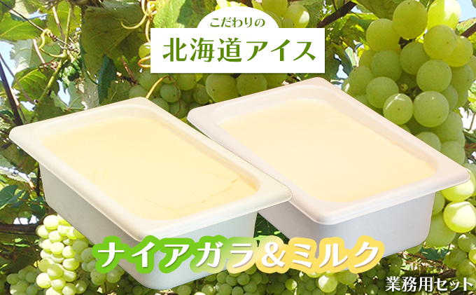 こだわりの北海道アイス 業務用セット〈ナイアガラ＆ミルク〉2L×各1個  スイーツ デザート 冷たい 砂糖不使用 無香料 無着色料 乳化剤不使用 GI値が上がりにくい 白ぶどう 甘さ控えめ さっぱり [株式会社 自然農園]