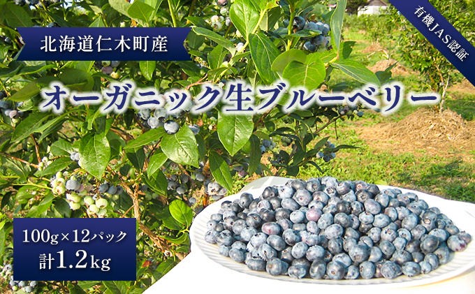 ［先行受付］【有機JAS認証】北海道仁木町産オーガニック生ブルーベリー 100g×12パック 計1.2kg 果物 フルーツ 有機栽培 安心安全 樹上完熟 手摘み [株式会社 自然農園]