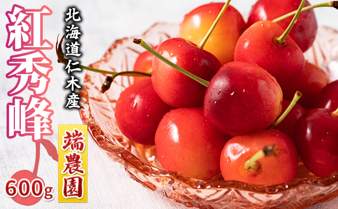 先行受付 北海道 仁木町産 さくらんぼ 南陽 600g（300g×2パック） 北海道知事賞受賞農園 デザート スイーツ 最優秀賞 おすすめ 美味しい サクランボ チェリー フルーツ 果物 果物類 仁木町 仁木 [端農園]