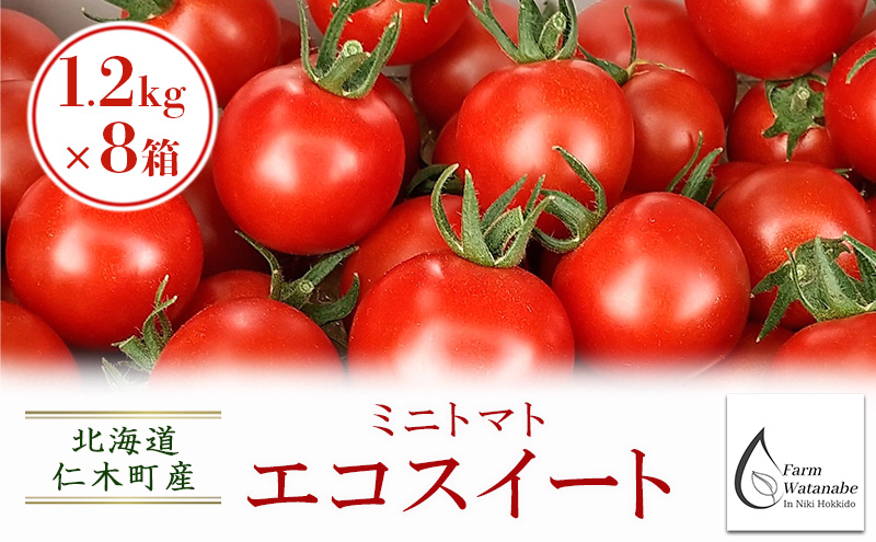[先行受付/2025年産][栽培期間中 農薬・化学肥料不使用] 北海道 仁木町産 ミニトマト エコスイート 1.2kg×8箱 サイズ混載 トマト野菜 やさい  [Farm Watanabe]