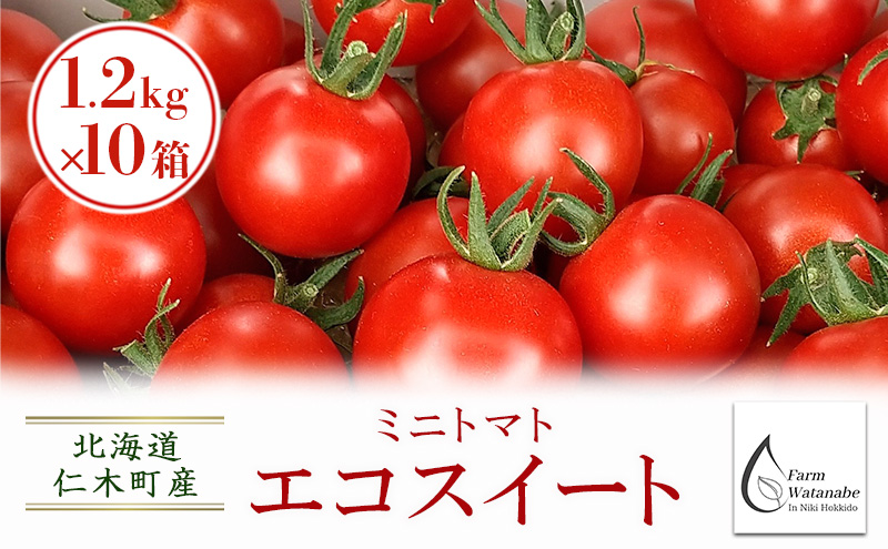 [先行受付/2025年産][栽培期間中 農薬・化学肥料不使用] 北海道 仁木町産 ミニトマト エコスイート 1.2kg×10箱 サイズ混載 トマト野菜 やさい  [Farm Watanabe]