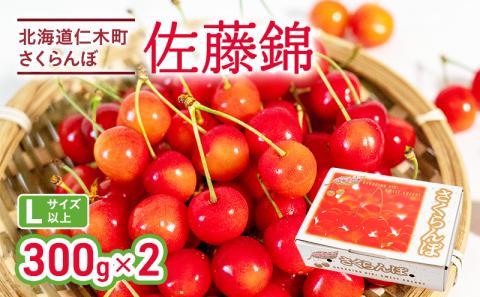 先行受付 さくらんぼ 佐藤錦 300g×2P 計600g Lサイズ 北海道 仁木町　国産 旬のフルーツ 旬の果物 デザートサクランボ チェリー フルーツ 果物 果物類 仁木 [カムナビファーム]