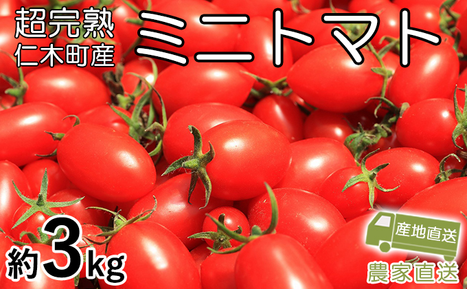 超完熟ミニトマト[アイコ]大満足のたっぷり3kg