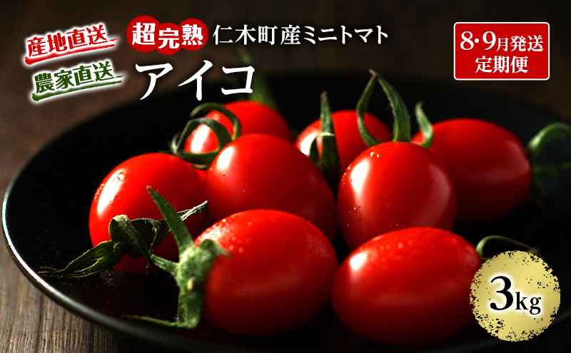 8・9月 2回発送[先行受付] 超完熟ミニトマト【アイコ】3kg 栽