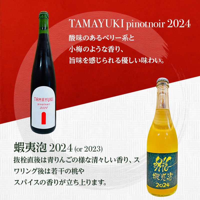 【北海道仁木町 ふるさと納税限定ワインセット】6生産者 ワイン 9本 セット　飲み比べ 9種 お酒 酒 果実酒 晩酌 葡萄 ぶどう ブドウ 料理 食事 お祝い 北海道 仁木町