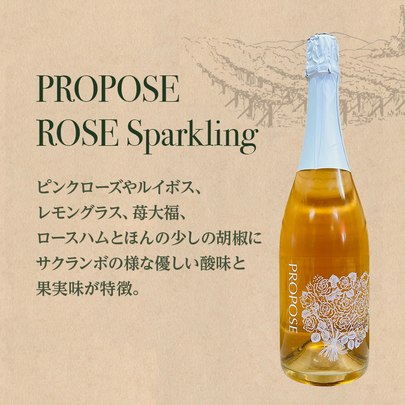 【北海道仁木町 ふるさと納税限定ワインセット】スパークリングワイン 6本 セット　飲み比べ 6種 スパークリング ワイン お酒 酒 果実酒 晩酌 葡萄 ぶどう ブドウ 料理 食事 お祝い 北海道 仁木町