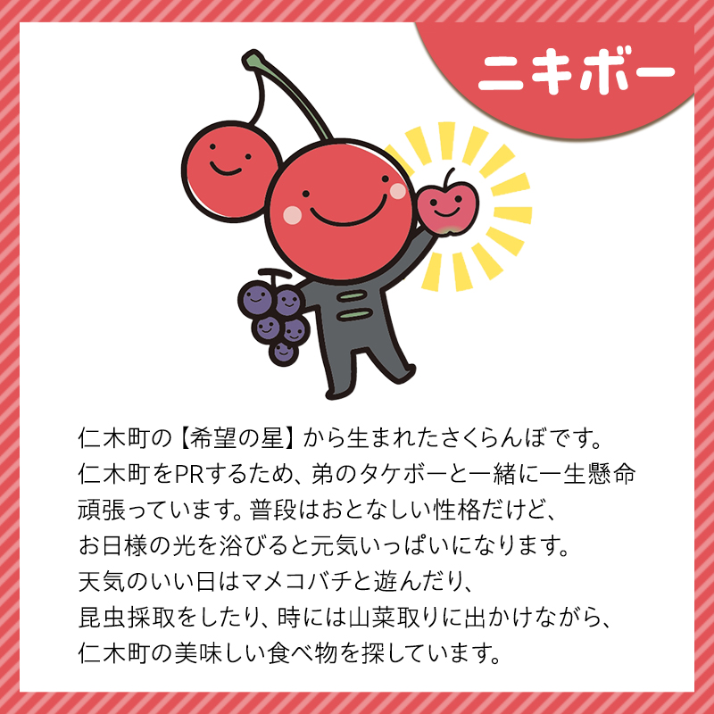 仁木町 ニキボーグッズ2点セット(ステッカー・ラバーキーホルダー) 【 ご当地 ゆるキャラ 可愛い マスコット グッズ 雑貨 小物 日用品 さくらんぼ 】