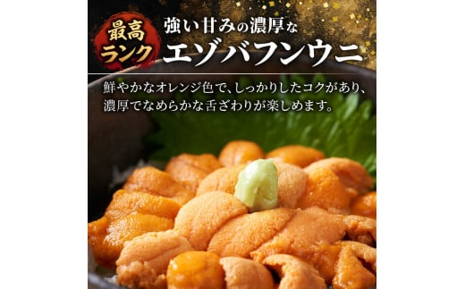 【先行予約：2026年6月以降発送】北海道余市町 最高ランク 塩水うに エゾバフンウニ 200g 100g×2パック 超希少品 うに 雲丹 塩水パック 最高ランク 上ランク 希少 入手困難 口の中でとろける濃厚な味わい_Y006-0038