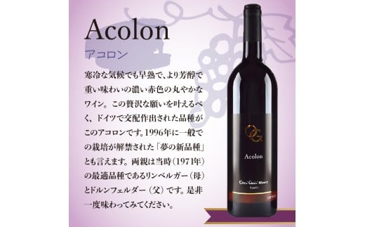 【OcciGabi Winery】赤ワイン飲みくらべ4本セット OcciGabi Winery 赤ワイン 飲み比べ4本セット スパークリングワイン_Y012-0112