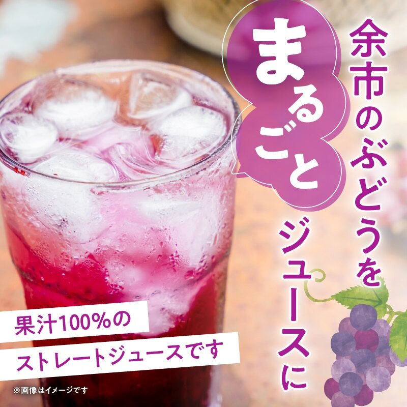 風味豊かな余市産ぶどう100％ジュース500ｍｌ×12本セット_Y018-0062