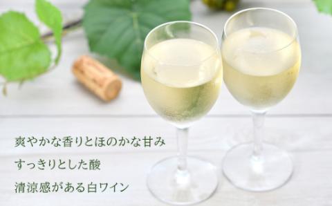 ＜葡萄作りの匠 田崎正伸＞ミュラートゥルガウ 750ml_Y020-0391