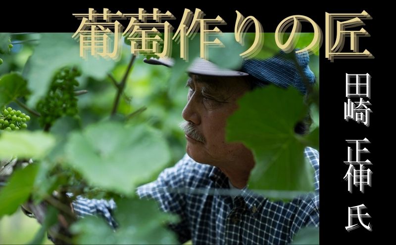 余市「葡萄作りの匠」ワイン 3本 セット 赤ワイン 白ワイン 辛口 ミディアム 田崎正伸 北島秀樹  宍戸富二  アルコール ギフト プレゼント 誕生日 手土産 父の日 敬老の日 家飲み 家族 国産お取り寄せ 北海道 余市町_Y034-0090