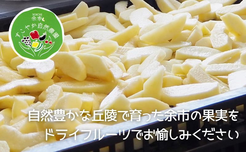 【余市産】すこやか自然農園「ドライフルーツりんご」10g×2Pセット_Y034-0108