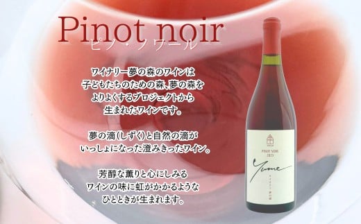 【数量限定】余市「ワイナリー夢の森」ピノ・ノワール2023&リーデル社製ロゴ入りワイングラス_Y034-0113