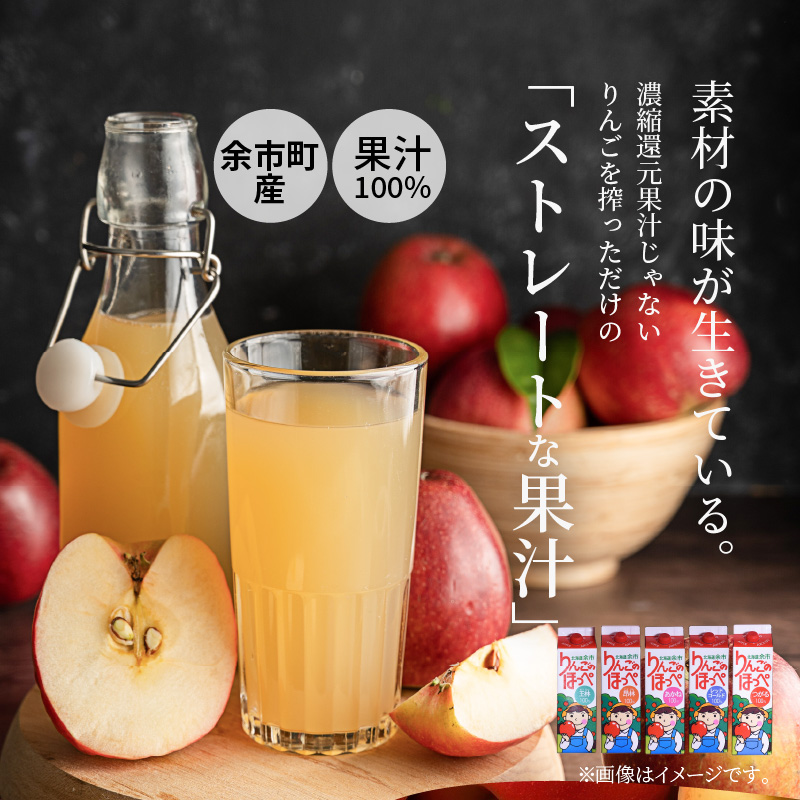 りんごの産地 北海道産 りんごジュース アップルジュース りんごのほっぺ バラエティセット 5種 1L×各1本 計5本 果汁100％ つがる あかね 王林 レッドゴールド 昂林 お取り寄せ 贈り物 ギフト プレゼント 北海道 余市町 _Y034-0118
