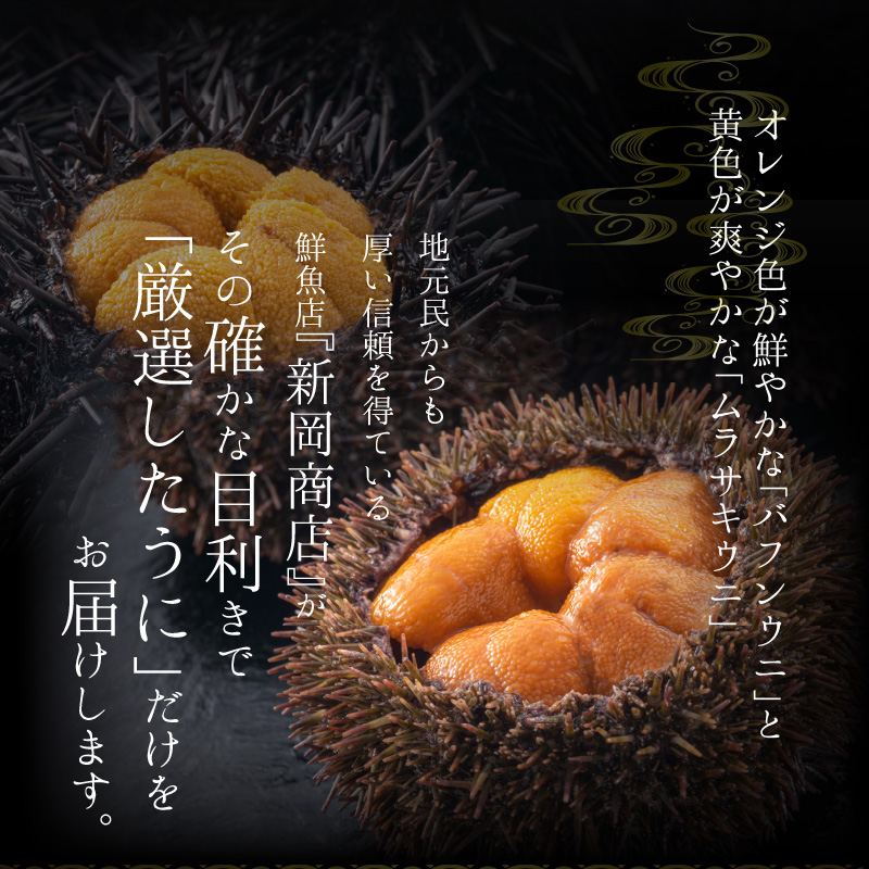 【2026年夏発送】塩水ウニ【バフンウニ＆ムラサキウニ】各100g×1パック 北海道余市町産 冷蔵  生うに うに 海産物 魚介類 北海道産 余市産 とろける 濃厚 磯の風味 甘味 強い 香り  北海道 余市町_Y037-0342