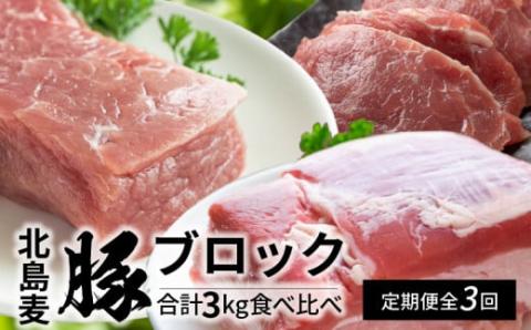 【北島麦豚】全3回料理人の豪華ブロック定期便_Y049-0006