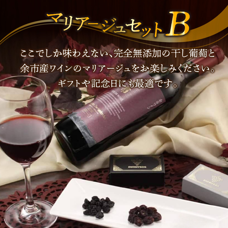 【ギフトボックス】余市産完全無添加干し葡萄と余市産セレクトワインのマリアージュセット ～B～_Y050-0026