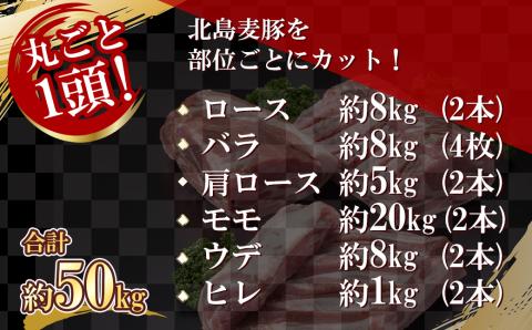 【農場直送】 北海道産　北島麦豚　1頭丸ごとセット　計約50kg_Y067-0045