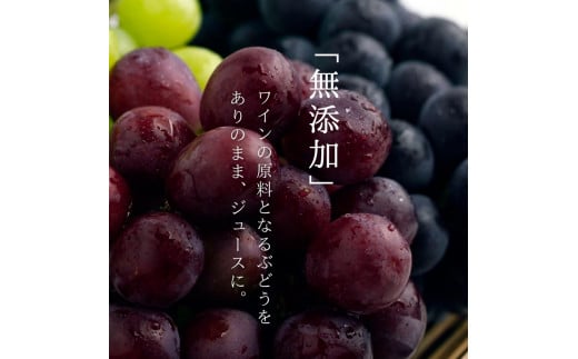 無添加 100％ストレート ぶどうジュース 710ml カベルネ・ナイアガラ 各1本 化粧箱入り 安芸農園_Y067-0147