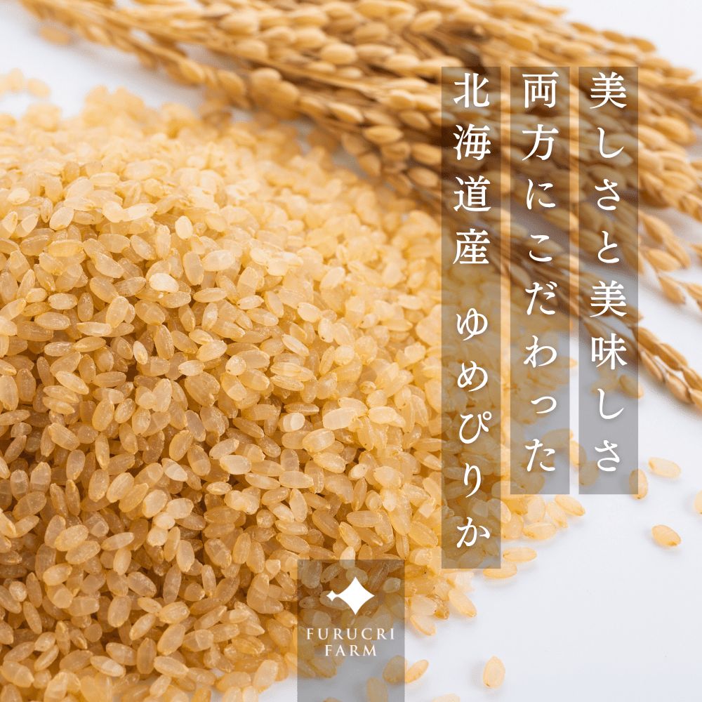 【順次発送中】◇令和7年産◇FURUCRI FARM 余市産 ゆめぴりか(玄米) 5kg_Y067-0292