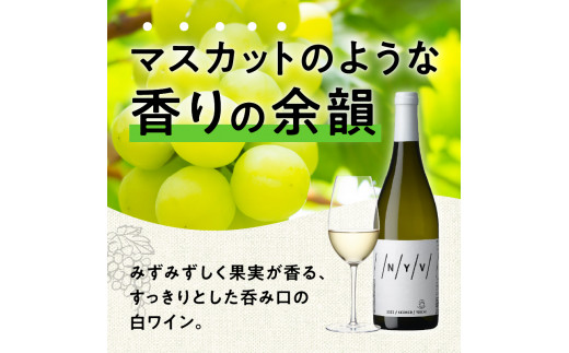 【数量限定＆北海道限定】N・Y・V（エヌ・ワイ・ブイ）　余市ケルナー2022　2本セット_Y090-0015