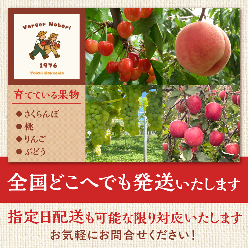 【2026年産 先行予約】＜北海道余市産＞さくらんぼ「紅てまり」（M～2Lサイズバラ詰め）500ｇ×2パック_Y103-0057