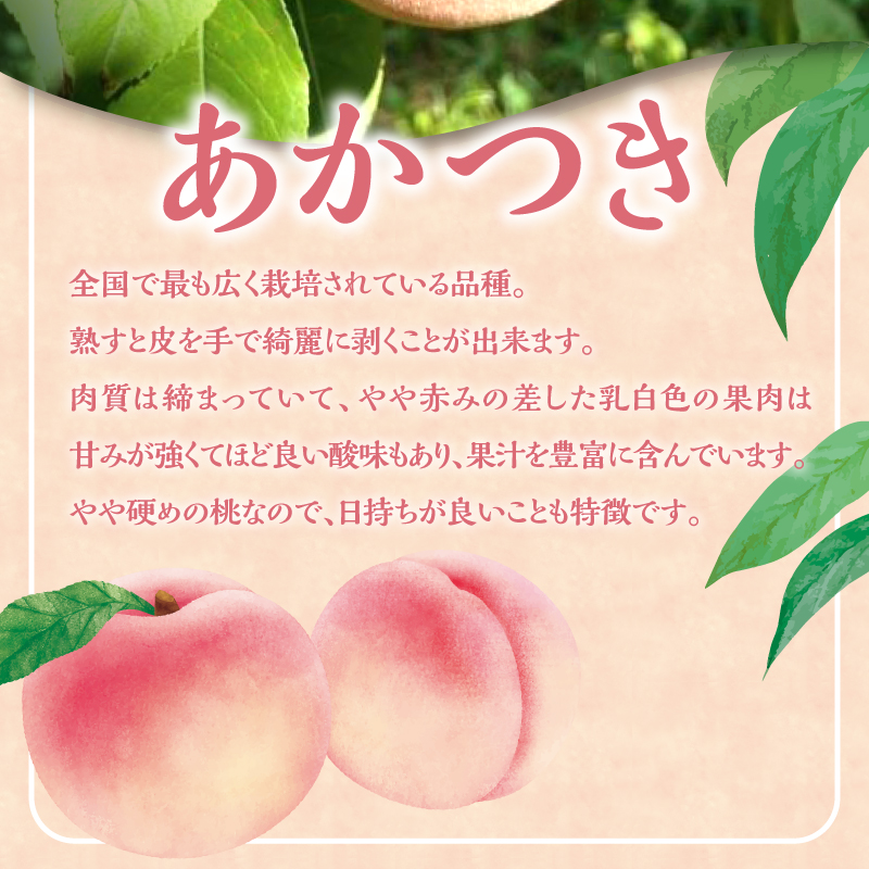 【2026年産 先行予約】＜北海道余市産＞桃＆桃リキュールのセット_Y103-0062