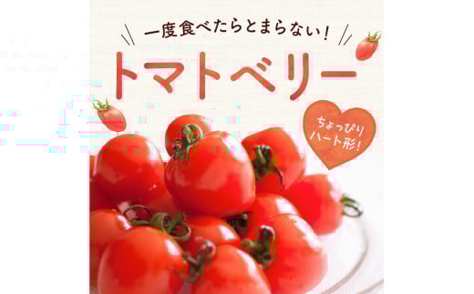 【先行予約：2026年7月下旬頃より発送】NicoFarm トマトベリー（ミニトマト）3Kg_Y124-0013