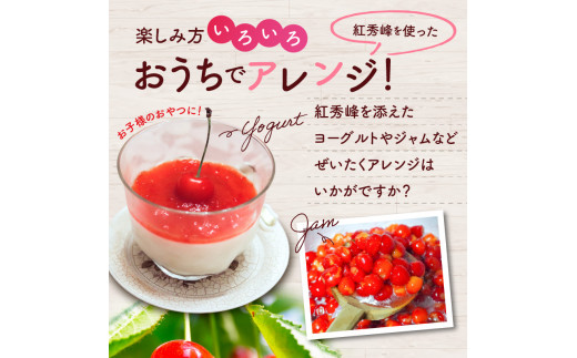 【先行受付：2026年7月中旬以降発送分】さくらんぼ (紅秀峰) 1kg 北海道 余市町産 果肉が硬く酸味の少ない濃厚な味 先行受付 フルーツ 果物 果実 国産 バラ詰め チェリー 美味しい 旬の味 お取り寄せ 北海道 余市町_Y010-0657