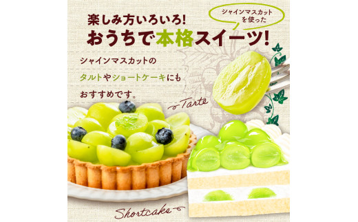 【先行受付：2026年10月上旬以降発送分】シャインマスカット 1房（600ｇ以上）_Y010-0658