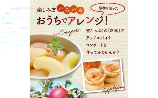 【先行受付：2026年10月中旬以降発送分】りんご（昂林）5kg_Y010-0661