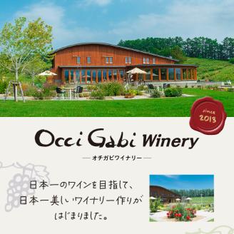 OcciGabi Winery】おススメ黒ラベルシリーズ６本セット 【余市のワイン】 ワイン 紅白ワイン 赤白ワイン 赤ワイン 白ワイン 黒ラベルワイン  ワイン6本 人気ワイン 北海道のワイン 国産ワイン 北海道 余市町_Y012-0098: 余市町ANAのふるさと納税