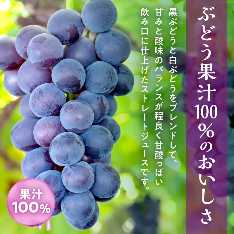 風味豊かな余市産ぶどう100％ジュース500ｍｌ×12本セット_Y018-0062