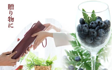 ◆ふるさと納税限定◆ブルーベリーワイン 2016 ＜アイケイファーム余市＞_Y020-0671